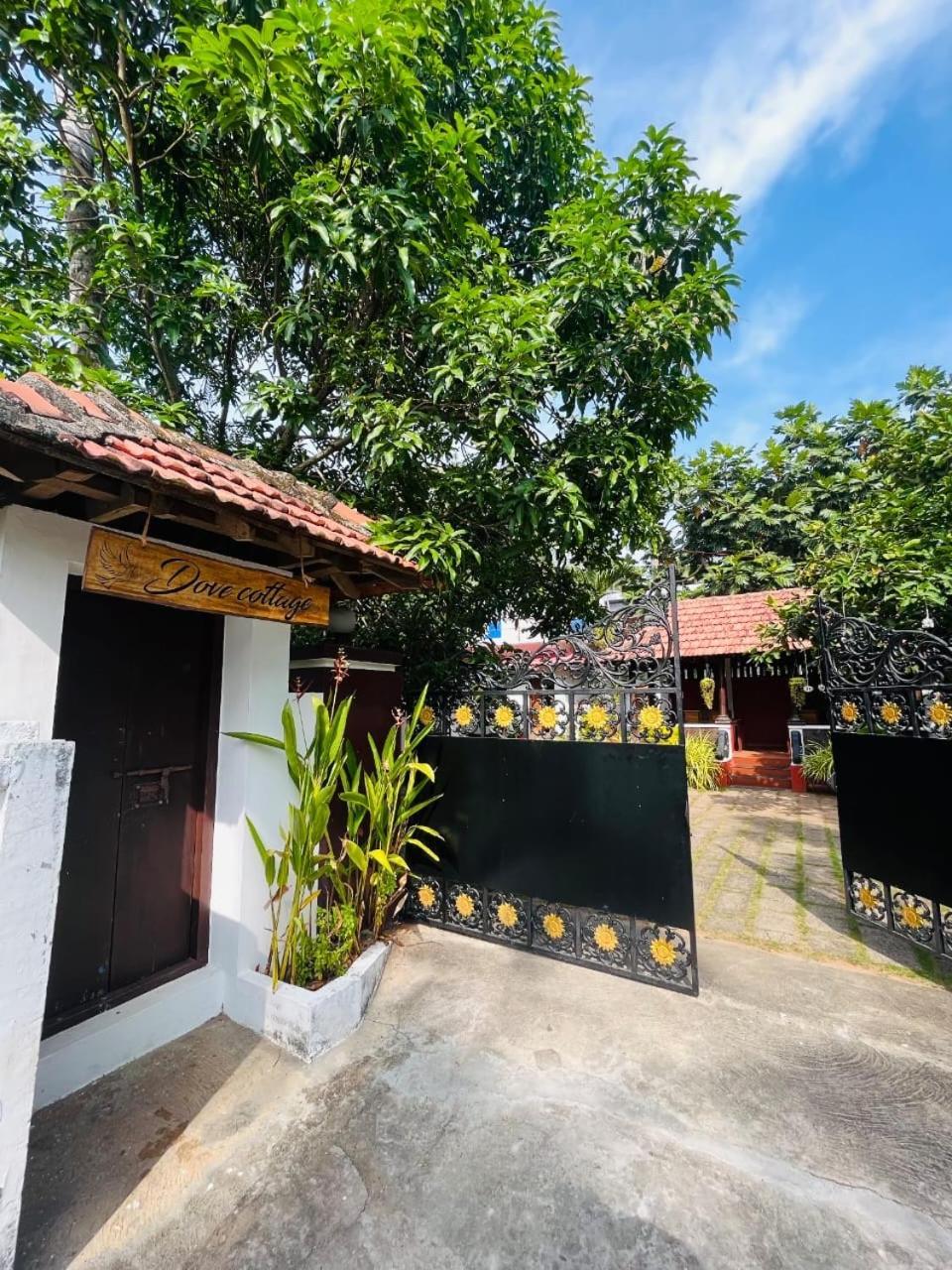Dove Cottage Cherai Beach Extérieur photo